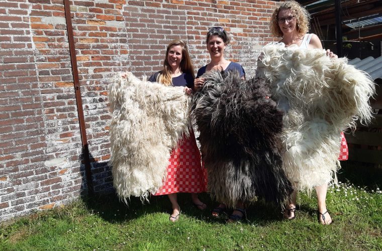 Handen vouwen wolvilt met water en zeep tijdens een viltworkshop in het Lana Wolatelier