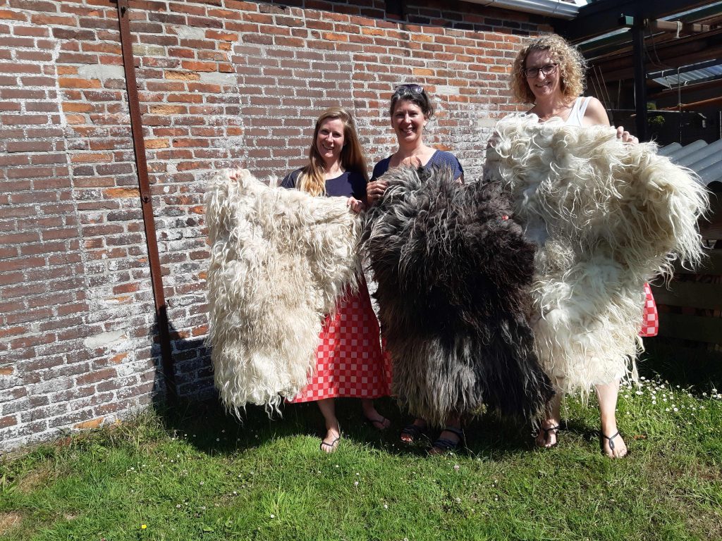 Workshop Vachtvilten in Stavoren