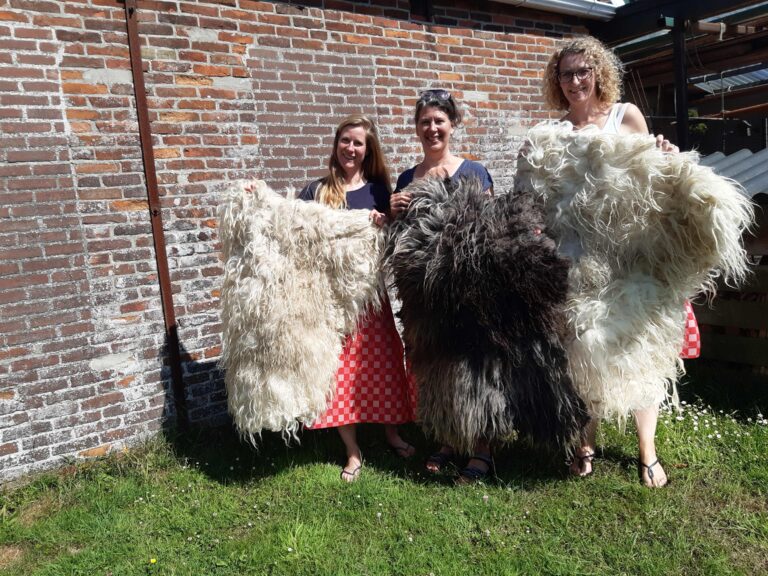 Workshop vachtvilten — open-dag in Stavoren